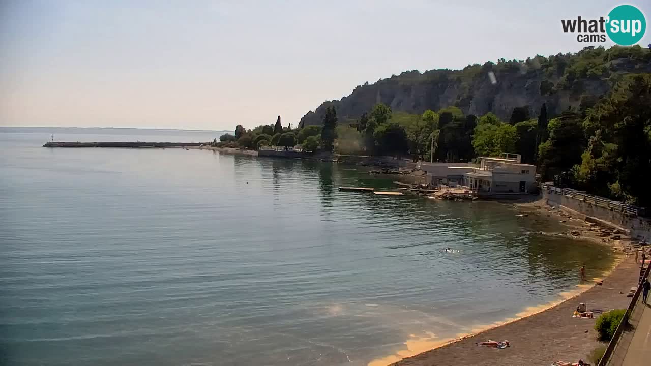 Webcam Sistiana Baia – Live View of the Marina and Gulf