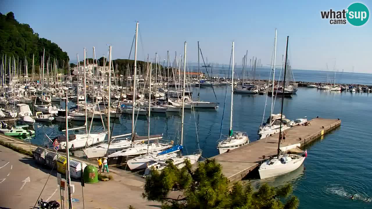 Spletna kamera Sesljanski zaliv – Pogled v živo na marino in zaliv