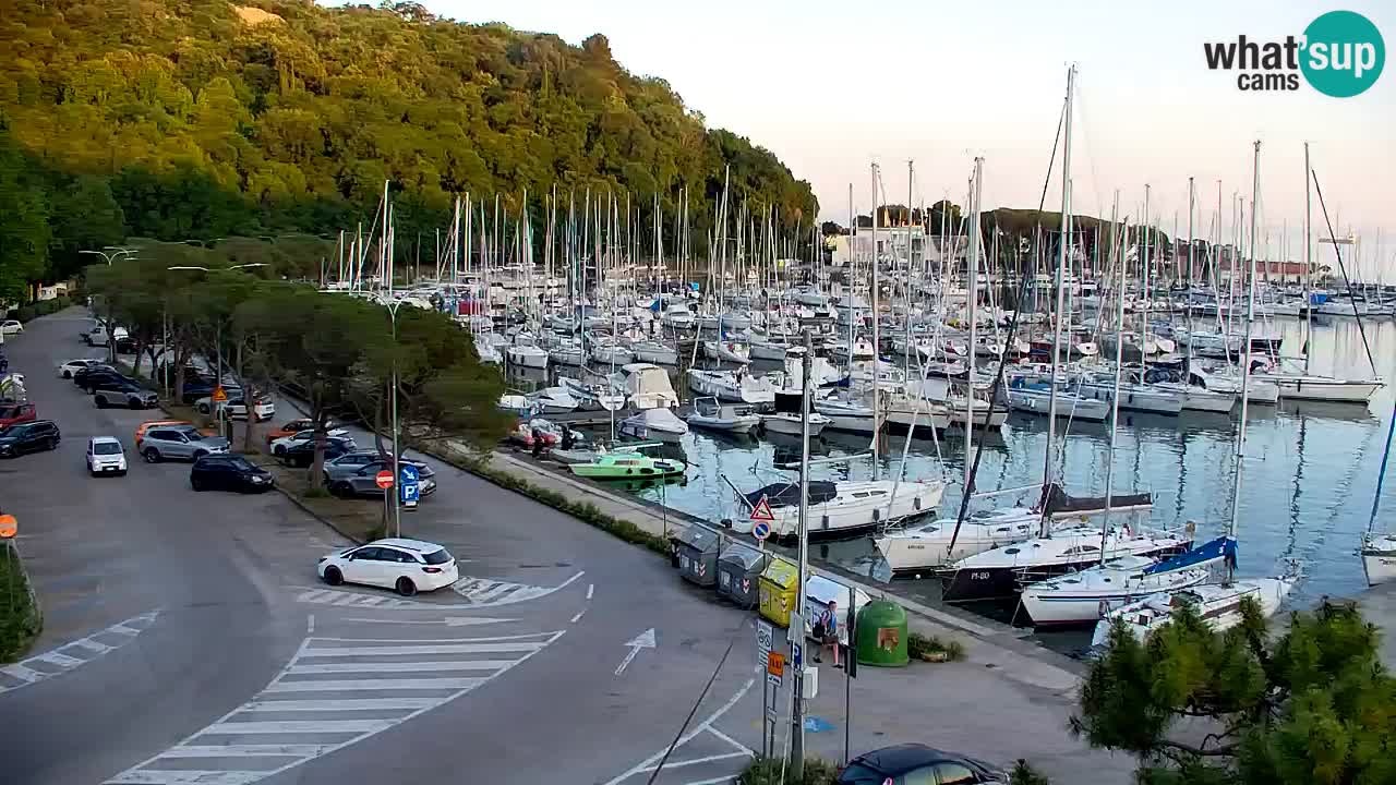 Webcam Sistiana Baia – Live View of the Marina and Gulf