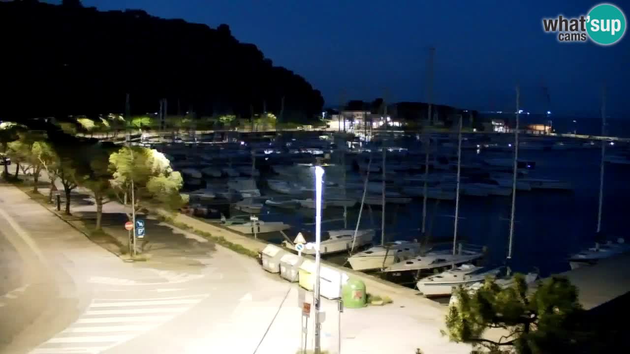 Webcam Sistiana Baia – Live View of the Marina and Gulf