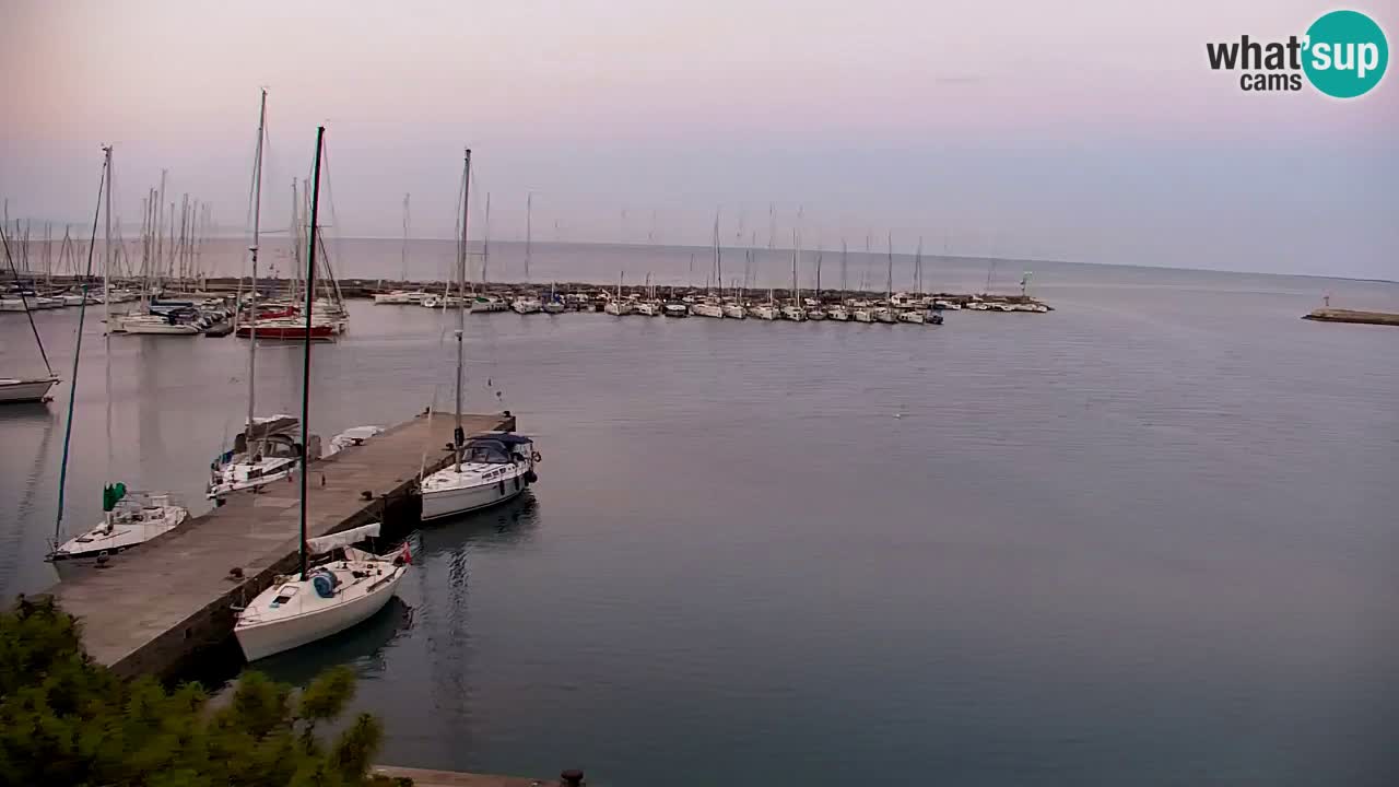 Webcam Sistiana Baia – Live View of the Marina and Gulf