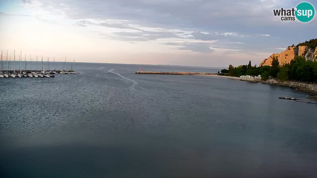 Webcam Sistiana Baia – Live View of the Marina and Gulf