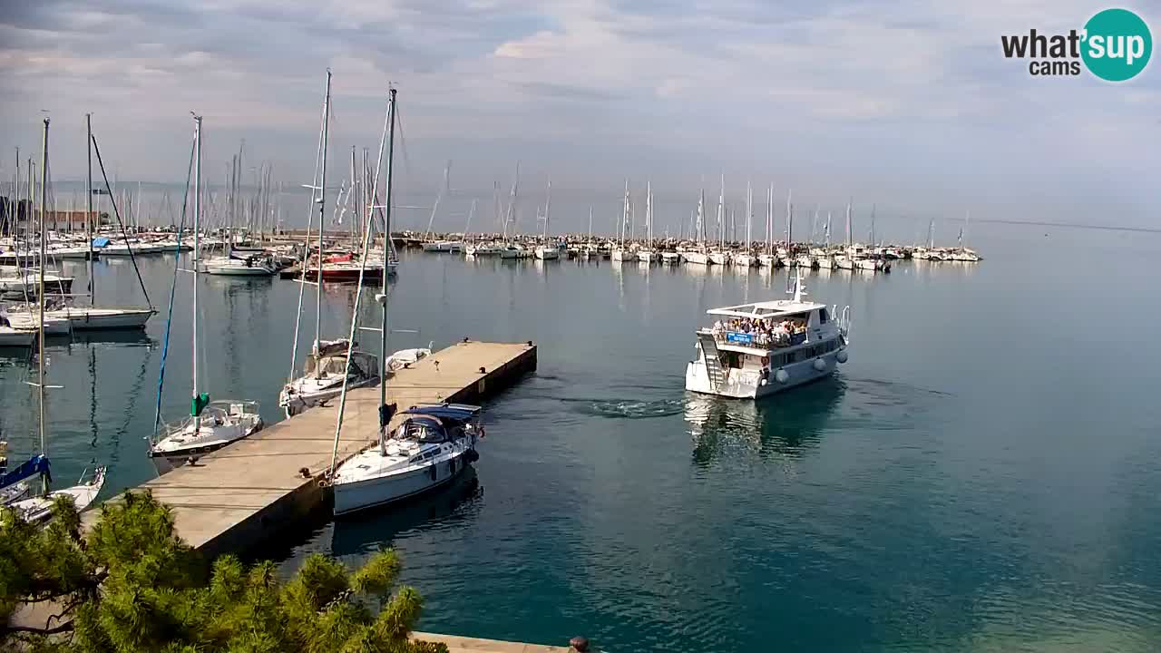Webcam Bahía de Sistiana – Vista en directo del puerto deportivo y la costa