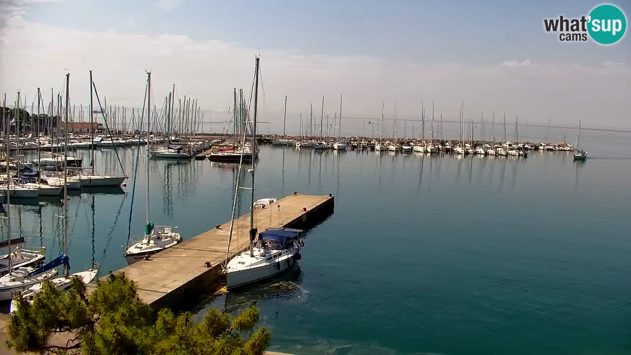 Webcam Bahía de Sistiana – Vista en directo del puerto deportivo y la costa