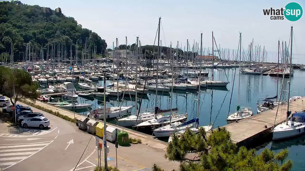 Webcam Sistiana Baia – Live View of the Marina and Gulf