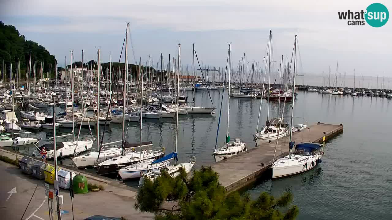 Webcam Sistiana Baia – Live View of the Marina and Gulf