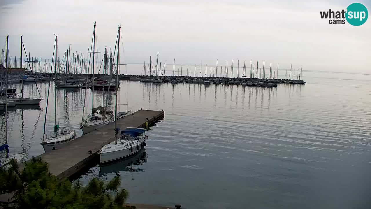 Webcam Sistiana Bucht – Liveblick auf Marina und Bucht