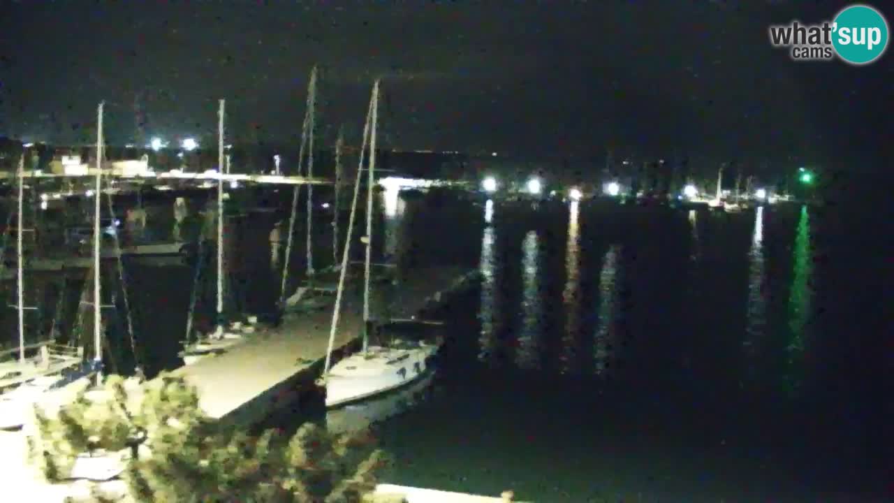 Webcam Sistiana Baia – Live View of the Marina and Gulf