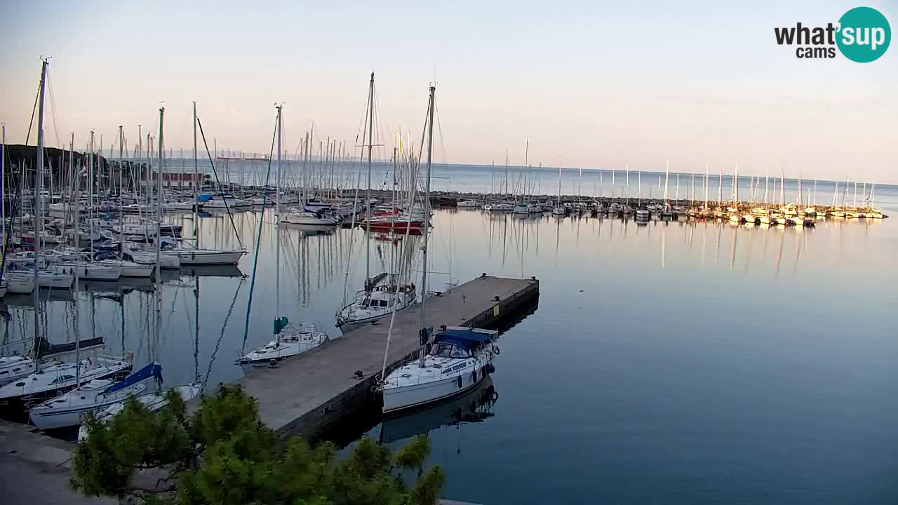 Webcam Bahía de Sistiana – Vista en directo del puerto deportivo y la costa