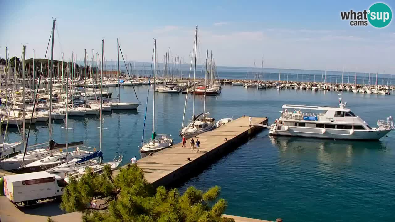Webcam Baie de Sistiana – Vue en direct de la marina et de la baie