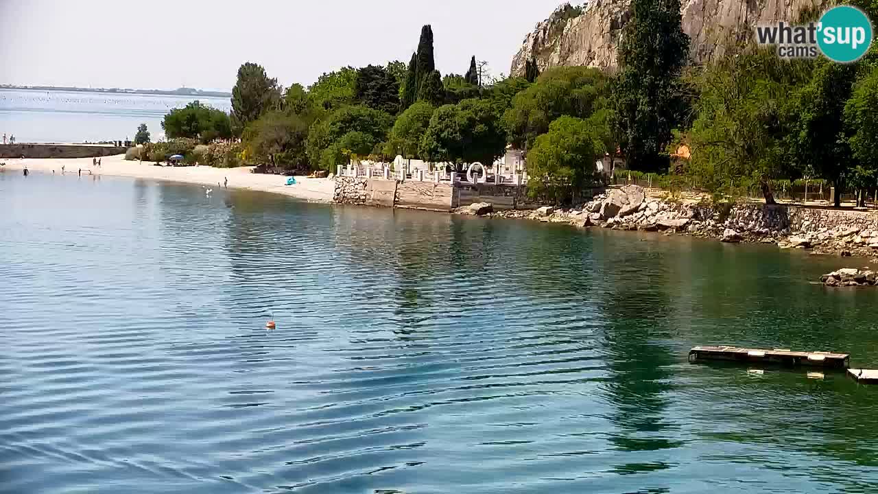Webcam Bahía de Sistiana – Vista en directo del puerto deportivo y la costa