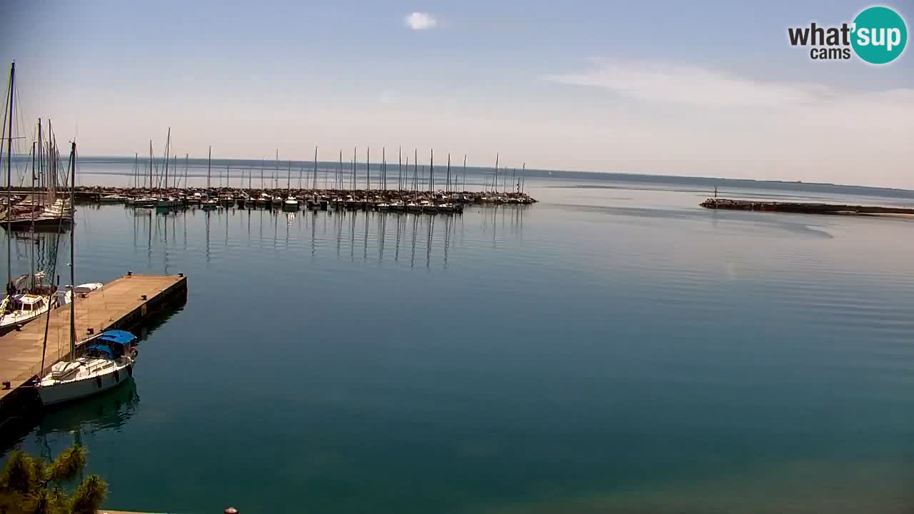 Spletna kamera Sesljanski zaliv – Pogled v živo na marino in zaliv