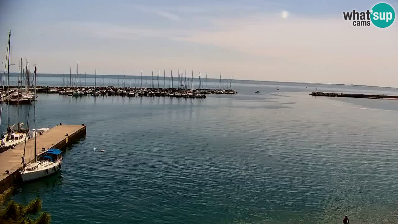 Webcam Bahía de Sistiana – Vista en directo del puerto deportivo y la costa