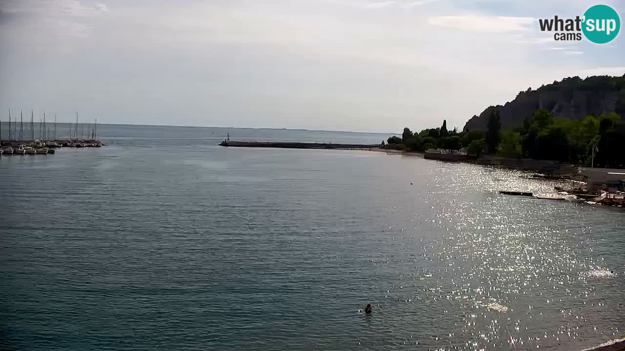 Web kamera Sistiana Uvala – Pogled uživo na marinu i zaljev