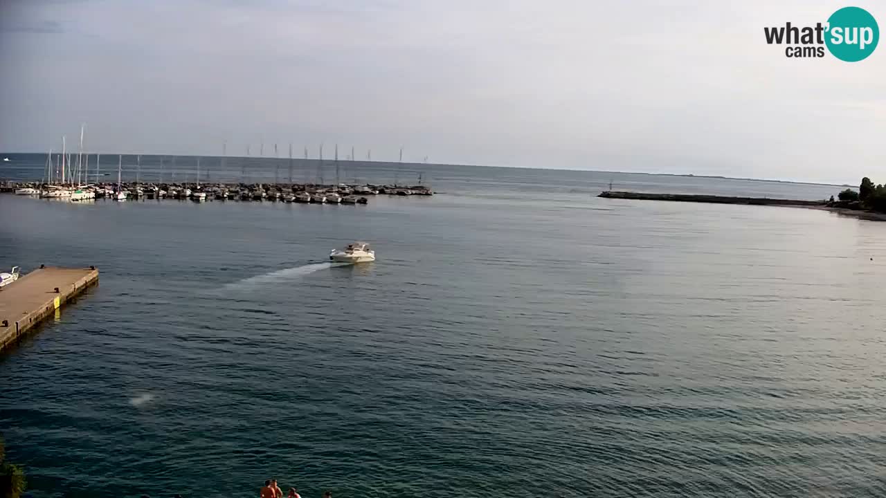 Web kamera Sistiana Uvala – Pogled uživo na marinu i zaljev