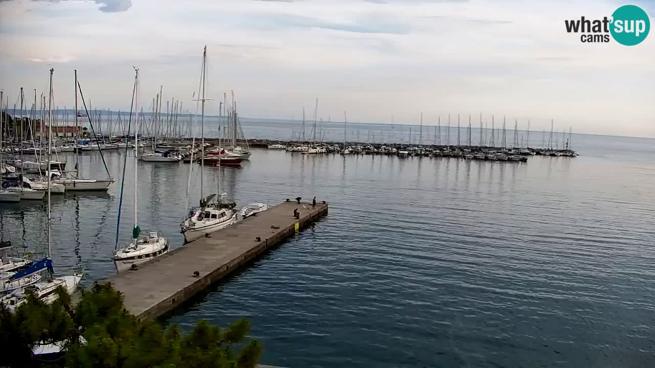 Webcam Sistiana Baia – Live View of the Marina and Gulf