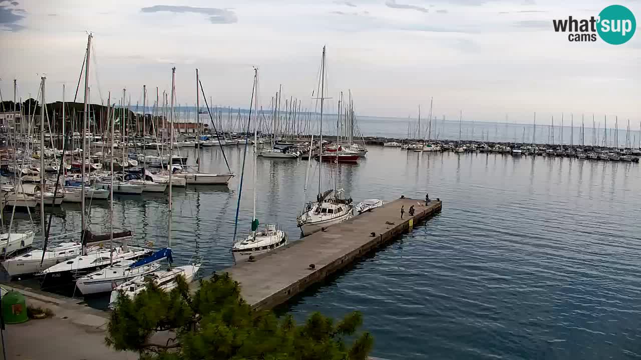 Webcam Baie de Sistiana – Vue en direct de la marina et de la baie