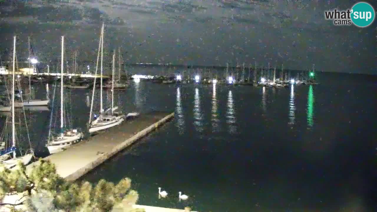 Web kamera Sistiana Uvala – Pogled uživo na marinu i zaljev