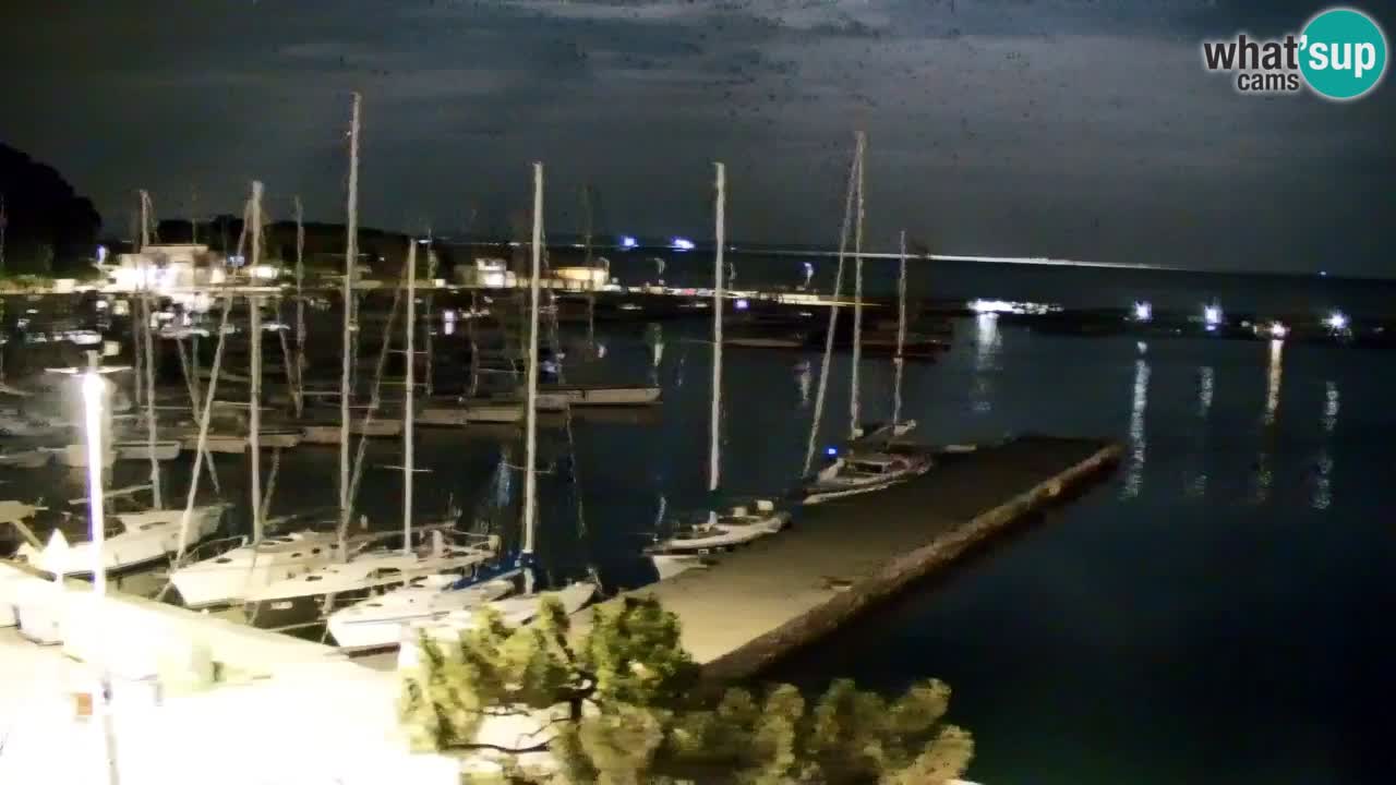 Web kamera Sistiana Uvala – Pogled uživo na marinu i zaljev