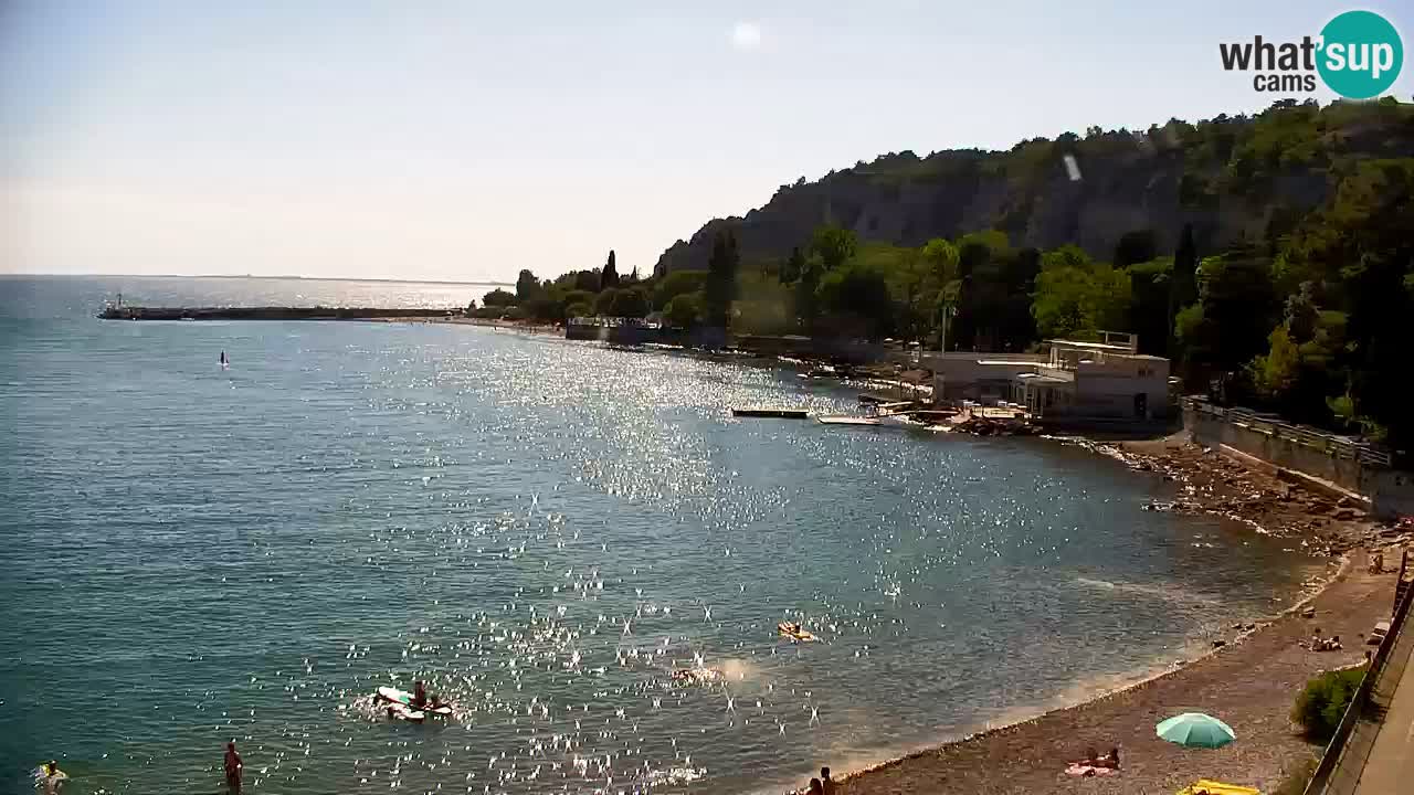 Webcam Bahía de Sistiana – Vista en directo del puerto deportivo y la costa