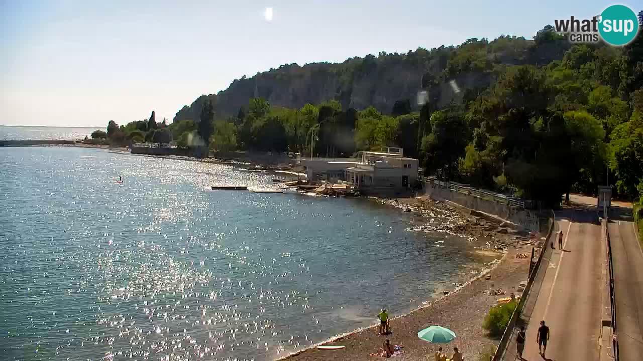 Webcam Sistiana Baia – Live View of the Marina and Gulf
