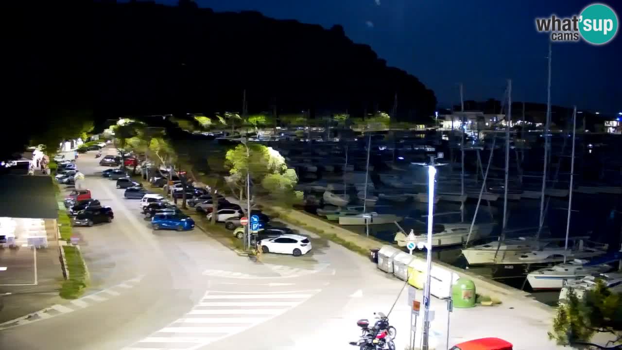 Webcam Bahía de Sistiana – Vista en directo del puerto deportivo y la costa