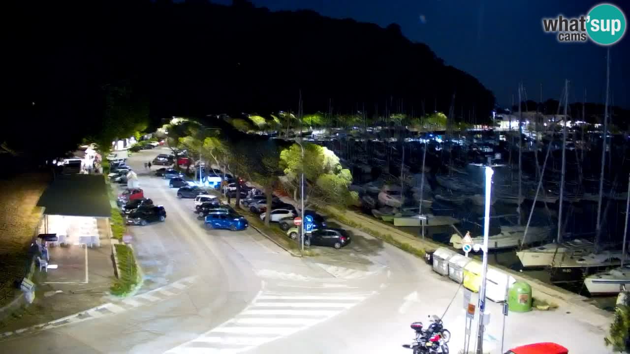 Webcam Sistiana Baia – Live View of the Marina and Gulf
