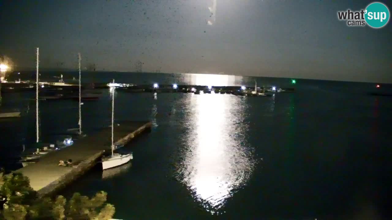 Webcam Bahía de Sistiana – Vista en directo del puerto deportivo y la costa