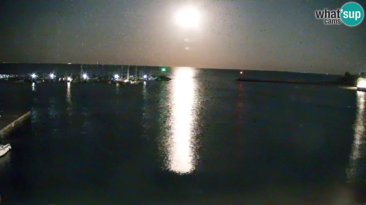 Webcam Bahía de Sistiana – Vista en directo del puerto deportivo y la costa