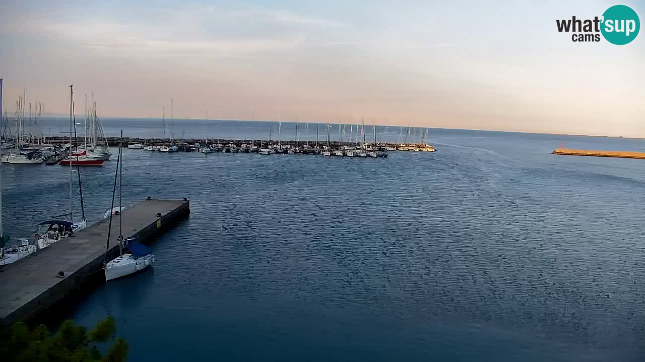 Webcam Sistiana Baia – Live View of the Marina and Gulf