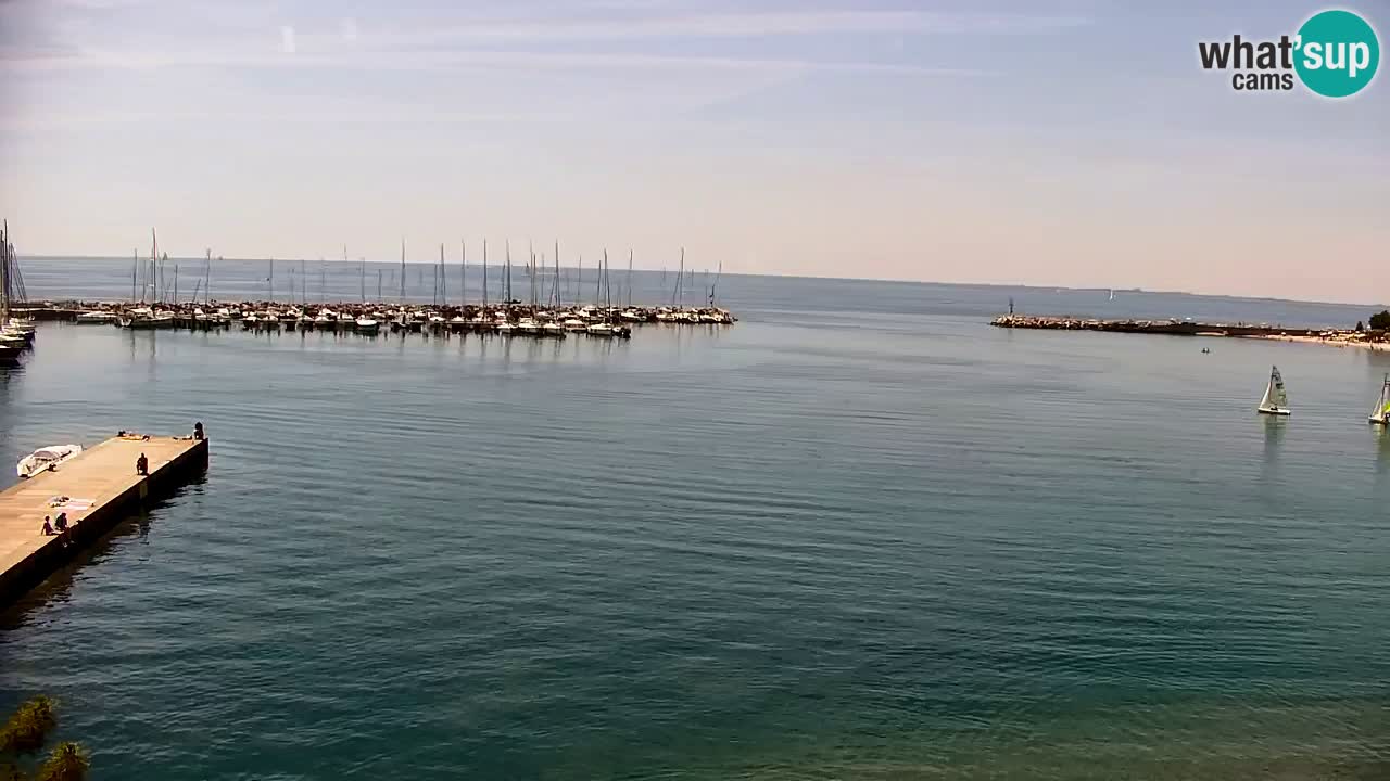 Webcam Baie de Sistiana – Vue en direct de la marina et de la baie
