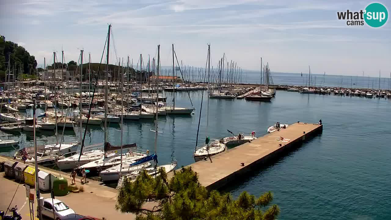 Web kamera Sistiana Uvala – Pogled uživo na marinu i zaljev