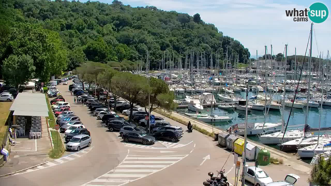 Webcam Baia di Sistiana – Marina e Golfo in diretta