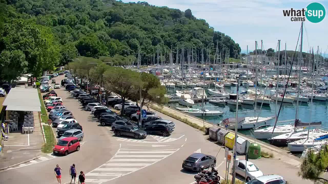Webcam Bahía de Sistiana – Vista en directo del puerto deportivo y la costa