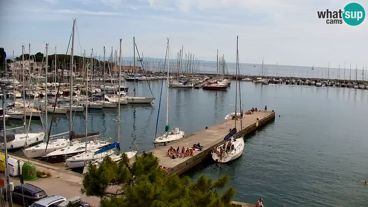 Web kamera Sistiana Uvala – Pogled uživo na marinu i zaljev
