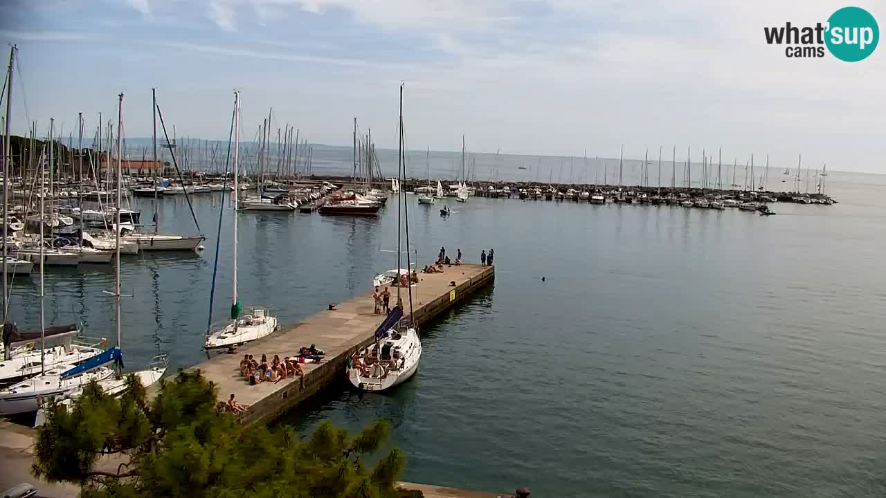 Web kamera Sistiana Uvala – Pogled uživo na marinu i zaljev