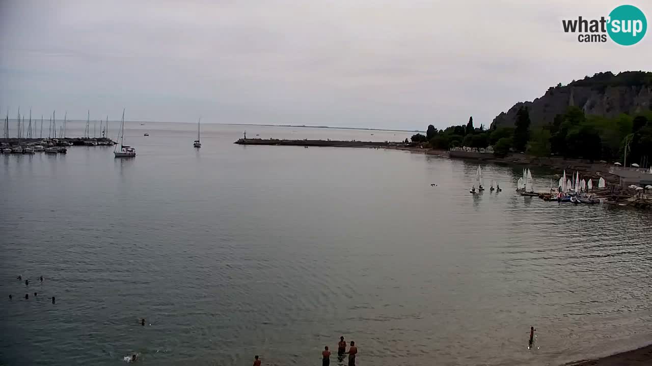 Webcam Sistiana Baia – Live View of the Marina and Gulf