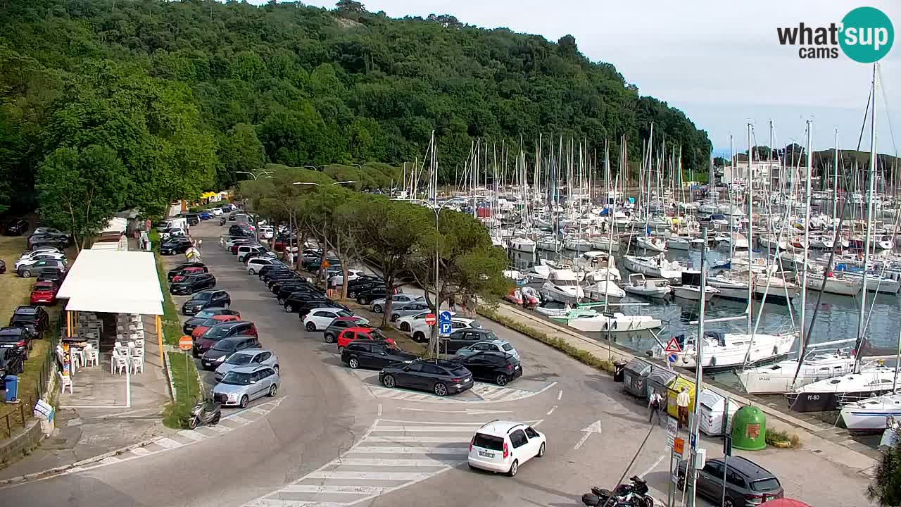 Webcam Bahía de Sistiana – Vista en directo del puerto deportivo y la costa