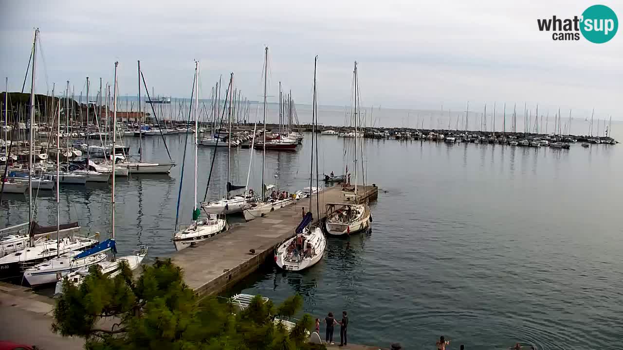 Webcam Baie de Sistiana – Vue en direct de la marina et de la baie
