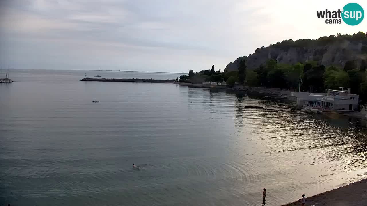Web kamera Sistiana Uvala – Pogled uživo na marinu i zaljev