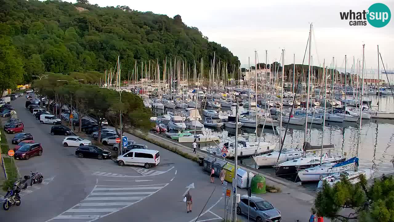 Webcam Bahía de Sistiana – Vista en directo del puerto deportivo y la costa