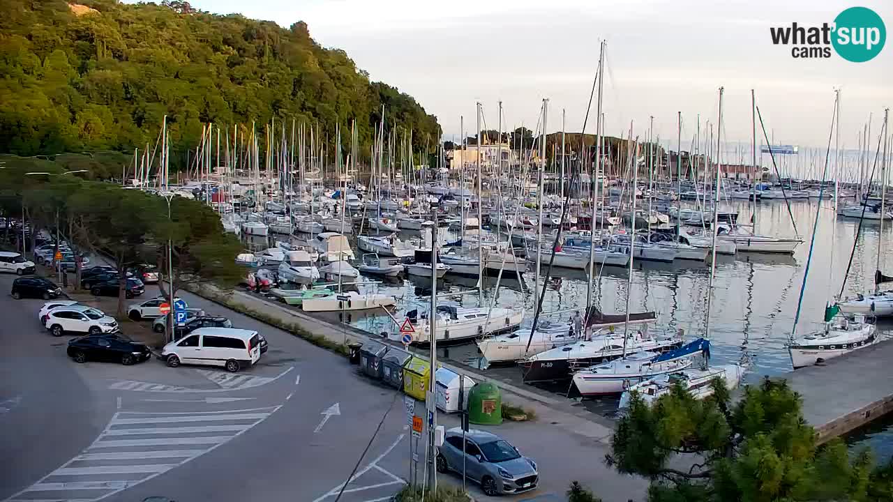 Spletna kamera Sesljanski zaliv – Pogled v živo na marino in zaliv