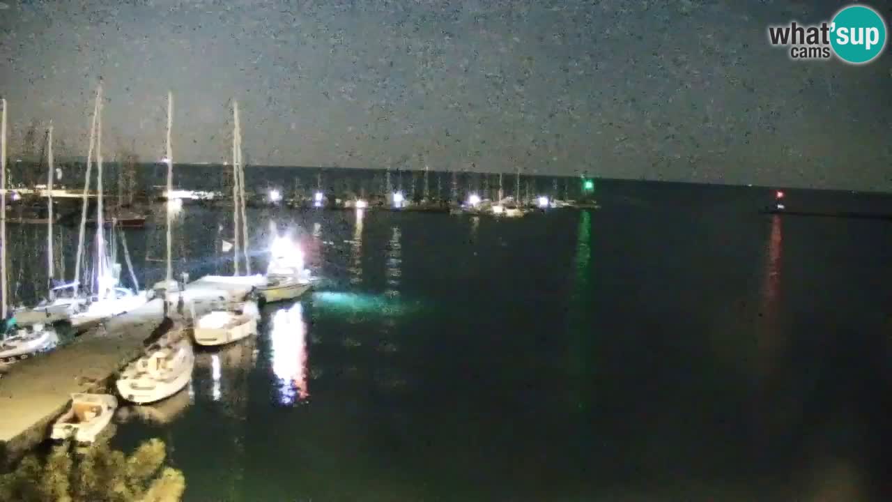 Webcam Sistiana Baia – Live View of the Marina and Gulf