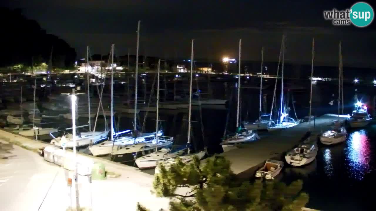 Webcam Sistiana Baia – Live View of the Marina and Gulf