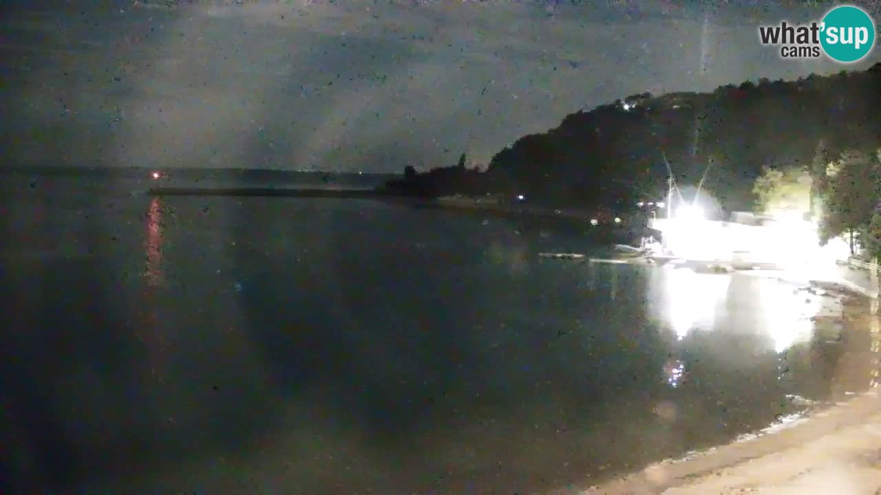 Webcam Bahía de Sistiana – Vista en directo del puerto deportivo y la costa