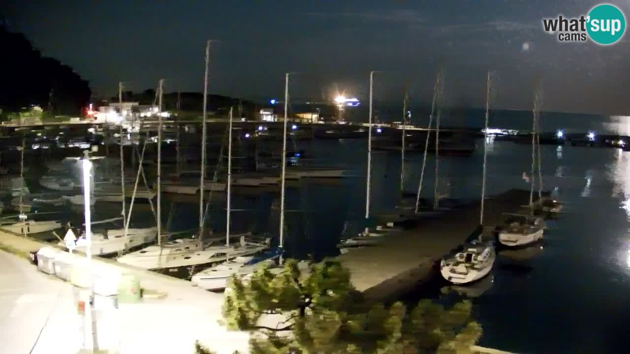 Webcam Sistiana Baia – Live View of the Marina and Gulf