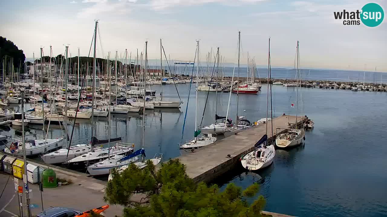 Webcam Sistiana Baia – Live View of the Marina and Gulf