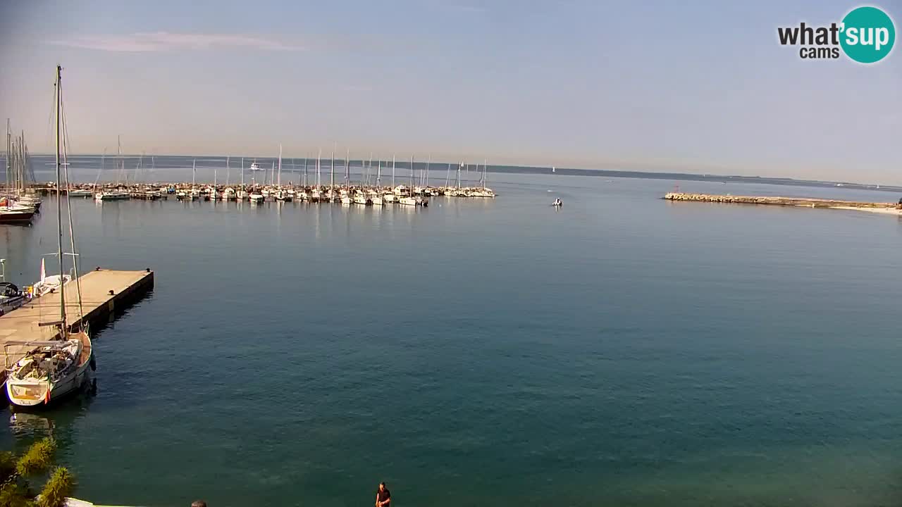 Webcam Sistiana Baia – Live View of the Marina and Gulf