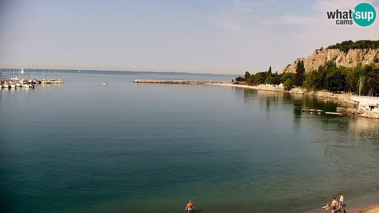 Webcam Sistiana Baia – Live View of the Marina and Gulf