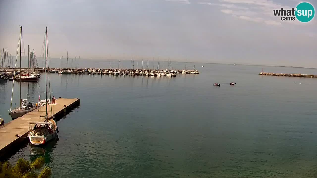 Spletna kamera Sesljanski zaliv – Pogled v živo na marino in zaliv